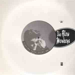 The Blow Monkeys - Digging Your Scene album