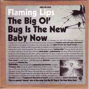 The Flaming Lips - The Big Ol' Bug Is The New Baby Now album