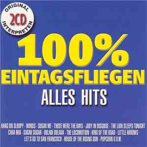 Various - 100% Eintagsfliegen Alles Hits album