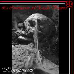 V.S.B. [The Vampire State Building] - Metempsycosis [12''] album