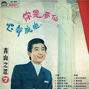 青山 - 妳是夢仙 / 心聲淚痕 / 第7集 album