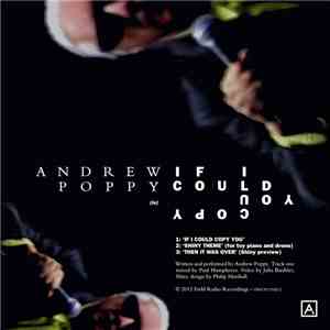 Andrew Poppy - If I Could Copy You album