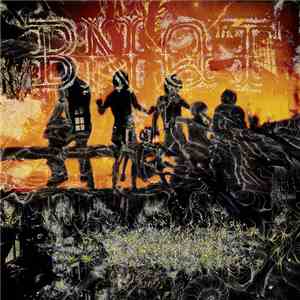 BNQT - Volume 1 album