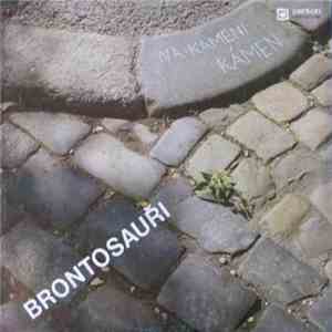 Brontosauři - Na Kameni Kámen album