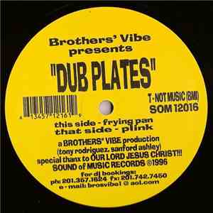 Brothers' Vibe - Dub Plates album