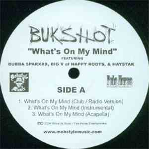 Bukshot - What's On My Mind album