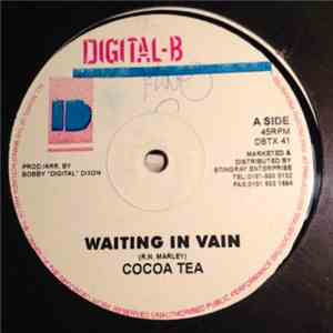 Cocoa Tea - Waiting In Vain album