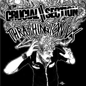 Crucial Section / Thrashington D.C. - Crucial Section / Thrashington D.C. album