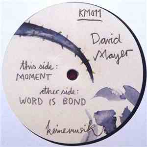 David Mayer - Moment album