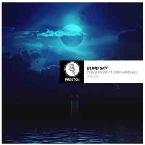 DMH  & Faure  Ft. Erin Marshall - Blind Sky album