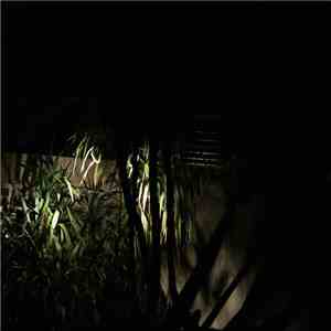 dprt - - /vol + album