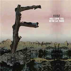 Feist - How Come You Never Go There album