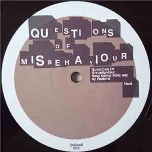 Iron K - Questions Of Misbehaviour album