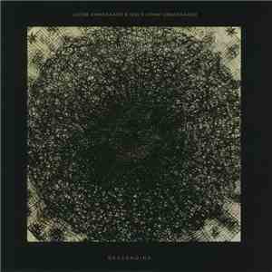 Jacob Kirkegaard & Niels Lyhne Løkkegaard - Descending album