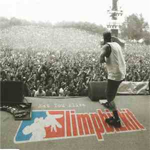 Limpbizkit - Eat You Alive album