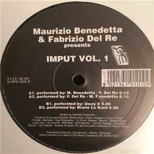 Maurizio Benedetta & Fabrizio Del Re - Presents Imput Vol. 1 album