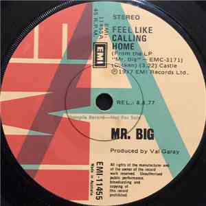 Mr Big - Feel Like Calling Home album