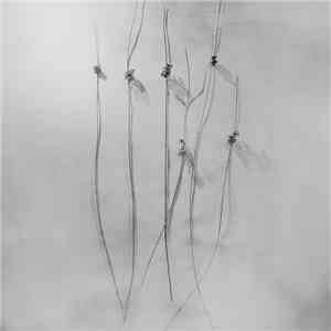 Muhd - Dilogia album
