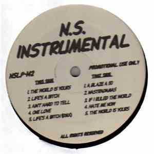 N.S. - Instrumental L.P. album