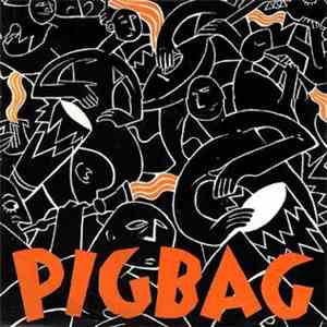 Pigbag - Papa's Got A Brand New Pigbag album