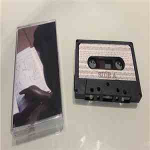 Pursuing Paradise - Adult Contemporary Novel album