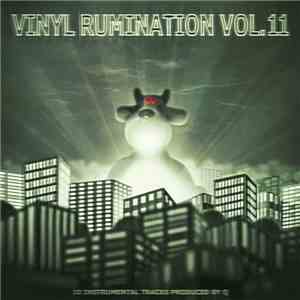 Q - Vinyl Rumination Vol. 11 album