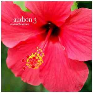 Roeaudionews - Audion 3 album