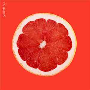 Saves The Day - Saves The Day album