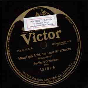 Seidler's Orchester Berlin / Fred Carlo - Mädel Gib Acht, Der Lenz Ist Erwacht / Wein Nicht Mutterl album