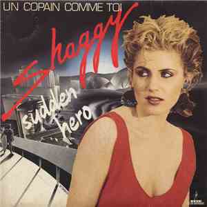 Shaggy  - Un Copain Comme Toi / Sudden Hero album