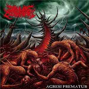 Soul Of Slamming - Agresi Prematur album