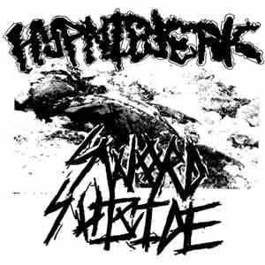Sword Suicide / Hypnic Jerk  - Split album