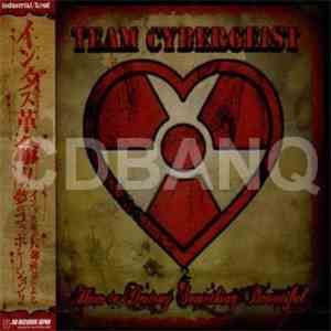 Team Cybergeist - How To Destroy Something Beautiful album