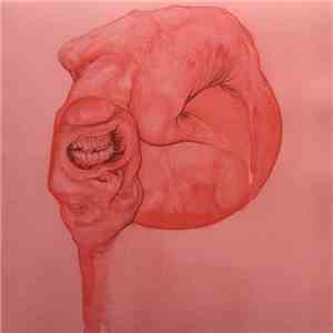 Teenage Larvae - Pelt Of The Sun album