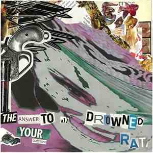 The Answer To All Your Questions / Drowned Rat - Decayed Screams album