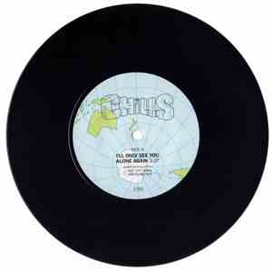 The Chills - I'll Only See You Alone Again album