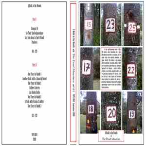 The Dead Mauriacs - A Walk In The Woods With The Dead Mauriacs album