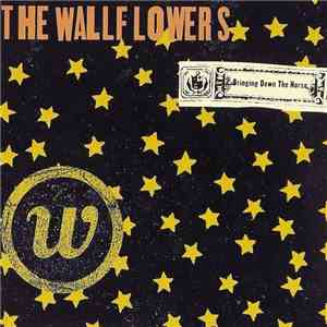 The Wallflowers - Bringing Down The Horse album