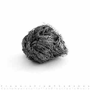Various - Flowers From The Ashes: Contemporary Italian Electronic Music album