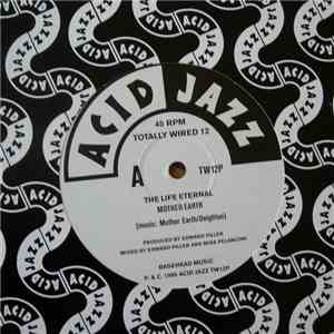 Various - Totally Wired 12 album