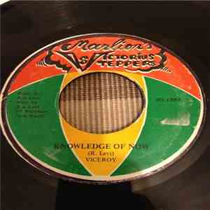 Viceroy - Viceroy Knowledge Of Now / Version album