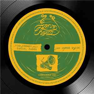 Violinbwoy Feat. Daniel Zabon - Jah Horns Guide album