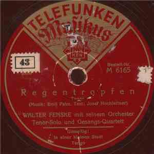 Walter Fenske Mit Seinem Orchester - Regentropfen / In Einer Kleinen Stadt ... album