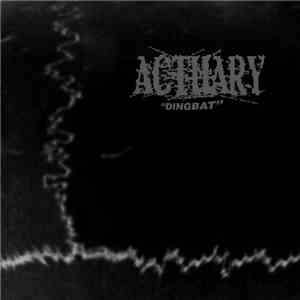 Actuary - Dingbat album