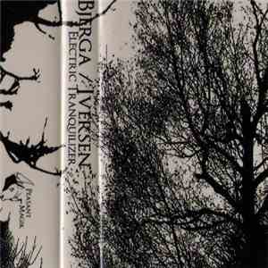 Bjerga / Iversen - Electric Tranquilizer album