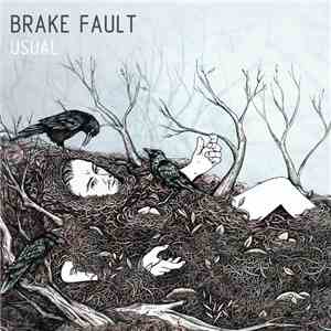 Brake Fault - Usual album