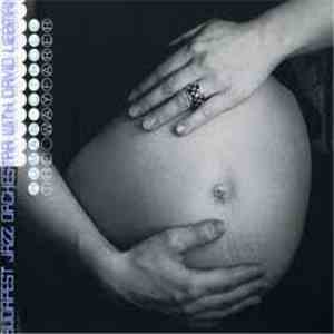 Budapest Jazz Orchestra With David Liebman - Human Circle - The Wayfarer album