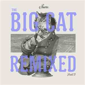 Coyu - The Big Cat Remixed Part 3 album
