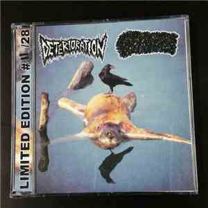 Deterioration / Gastroptosis - Deterioration / Gastroptosis album