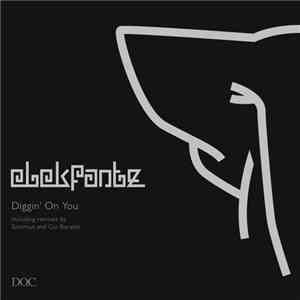 Elekfantz - Diggin' On You album